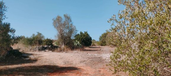 8619m² Land in Neviano, Italy No. 357511 19