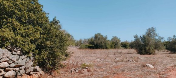 8619m² Land in Neviano, Italy No. 357511 5
