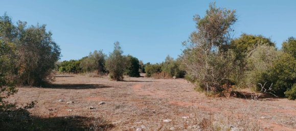 8619m² Land in Neviano, Italy No. 357511 13