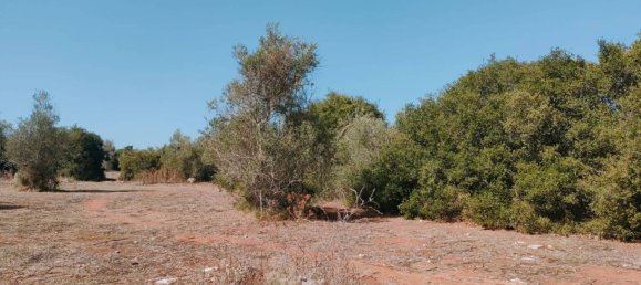 8619m² Land in Neviano, Italy No. 357511 10