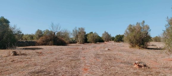 8619m² Land in Neviano, Italy No. 357511 2