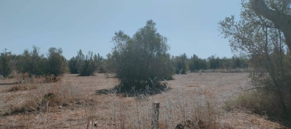 8619m² Land in Neviano, Italy No. 357511 6