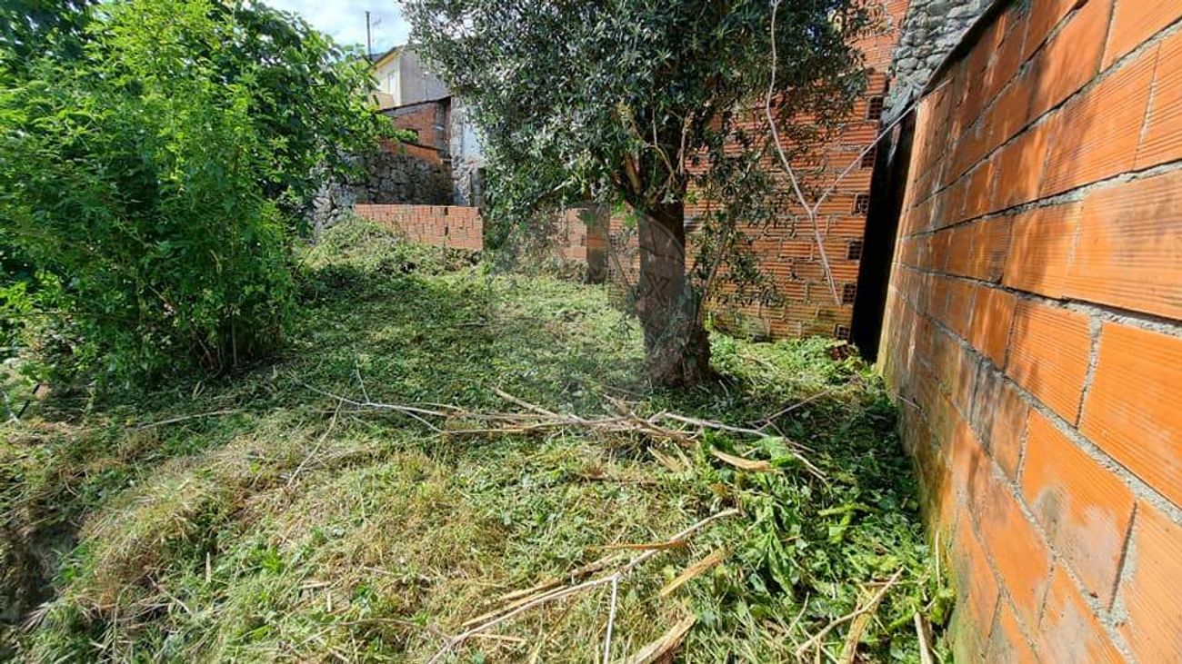 4 bedrooms House in Viseu, Portugal No. 184819