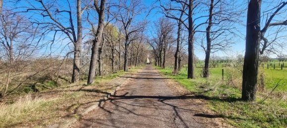  قطعة أرض في Salzlandkreis, Germany 1638متر مربع رقم 310836 5