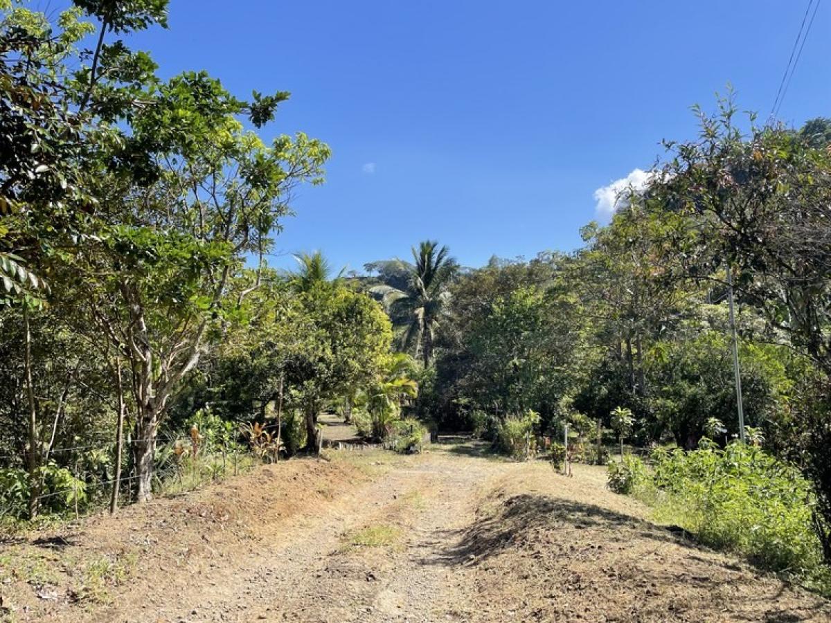  قطعة أرض في San Jose, Costa Rica رقم 1505