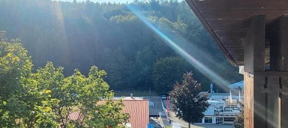 Apartamento de 1 dormitorio en Rhein-Neckar-Kreis, Germany No. 271633 10