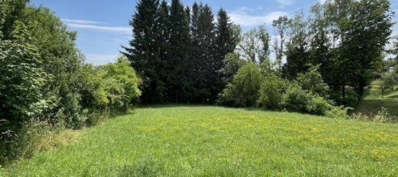  Land in Weinitzen, Austria No. 247225 2