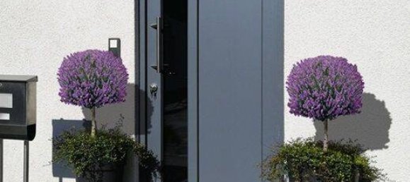 Casa de 6 habitaciónes en Mettmann, Germany No. 260514 14