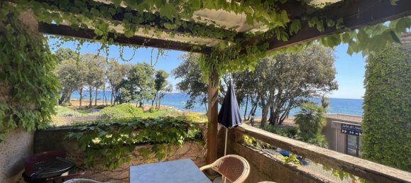 Квартира с 1 спальней в Санта-Мария-Поджо, Франция № 89294 4