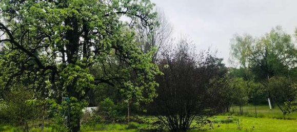 7 Schlafzimmer Bauernhof in Märkisch-Oderland, Germany, Nr. 44427 9