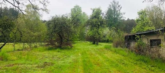 7 Schlafzimmer Bauernhof in Märkisch-Oderland, Germany, Nr. 44427 7