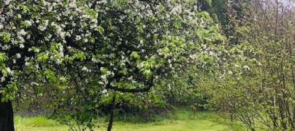 7 Schlafzimmer Bauernhof in Märkisch-Oderland, Germany, Nr. 44427 11