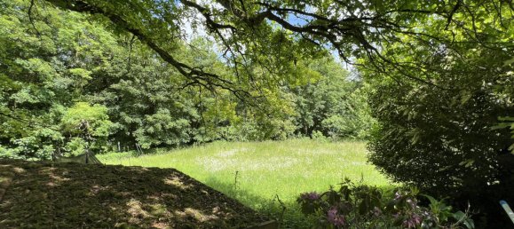 6 bedrooms Castles in Bruebach, France No. 274279 10