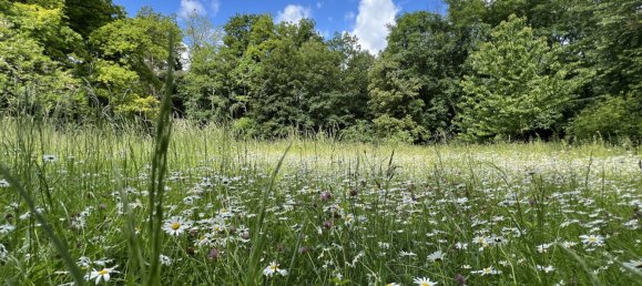 6 bedrooms Castles in Bruebach, France No. 274279 9