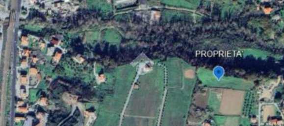 Grundstück in Belvedere Marittimo, Italy, Nr. 344624 9