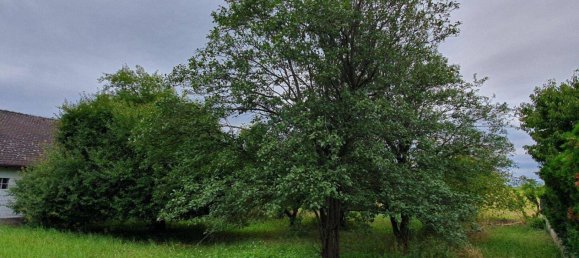  Land in Lutzmannsburg, Austria No. 62509 7