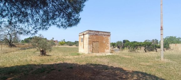 Terrain à Gallipoli, Italy 6000m² No. 230979 12