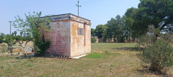 Terrain à Gallipoli, Italy 6000m² No. 230979 10