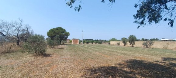 Terrain à Gallipoli, Italy 6000m² No. 230979 4