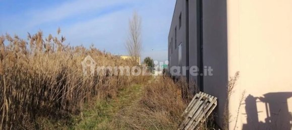 5-Zimmer Lagerhaus in Cannara, Italy, Nr. 272322 21