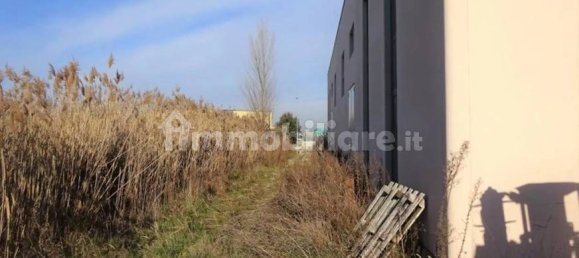 5-Zimmer Lagerhaus in Cannara, Italy, Nr. 272322 27