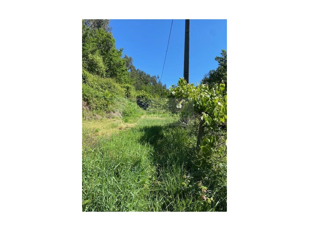 Grundstück in Sever do Vouga, Portugal 7000m², Nr. 245847