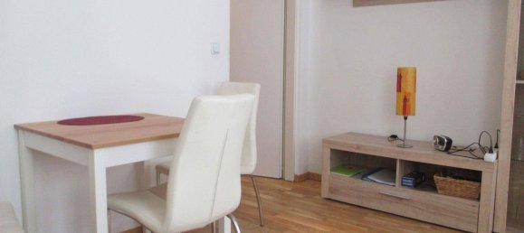 Studio à Rudolfsheim-Funfhaus, Austria No. 245810 10