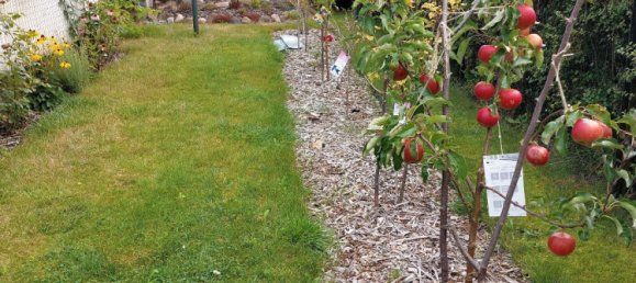  Land in Vorpommern-Greifswald, Germany No. 359764 3