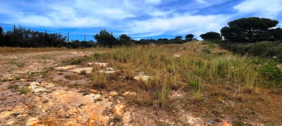 قطعة أرض في San Roque, Spain 1314متر مربع رقم 18284 5