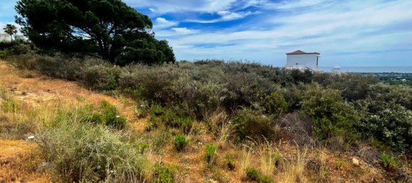 قطعة أرض في San Roque, Spain 1314متر مربع رقم 18284 6