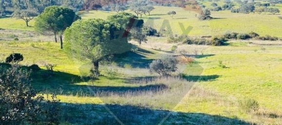 9 bedrooms Castles in Grandola, Portugal No. 48661 26