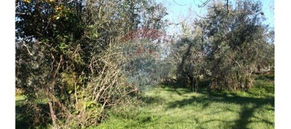 3 bedrooms House in Alvaiazere, Portugal No. 188537 7