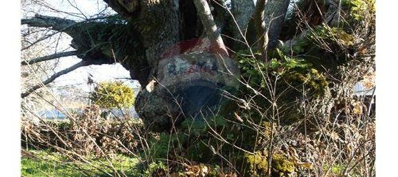 3 bedrooms House in Alvaiazere, Portugal No. 188537 6