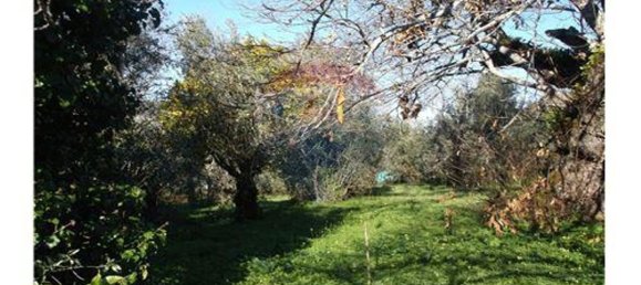 3 bedrooms House in Alvaiazere, Portugal No. 188537 4