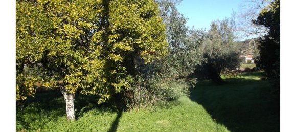 3 bedrooms House in Alvaiazere, Portugal No. 188537 8