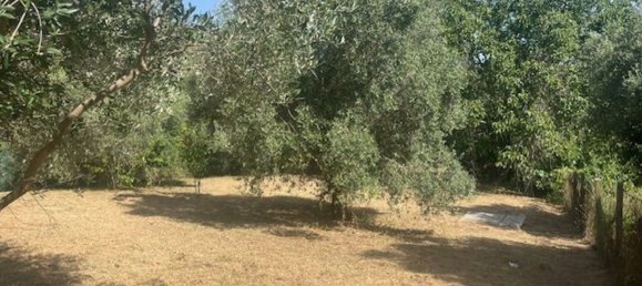 2 bedrooms House in Palestrina, Italy No. 335759 18