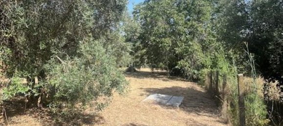 2 bedrooms House in Palestrina, Italy No. 335759 7