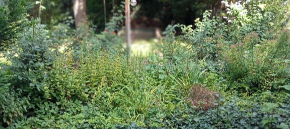 2 bedrooms Apartment in Erfurt, Germany No. 273361 4