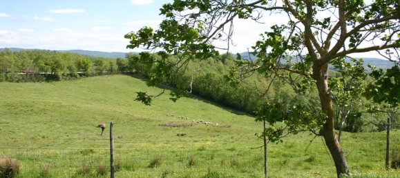 400m² Warehouse in Chiusdino, Italy No. 89599 2