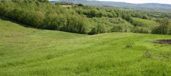 400m² Warehouse in Chiusdino, Italy No. 89599 3