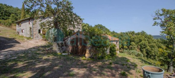 15-Zimmer Haus in Monterotondo Marittimo, Italy, Nr. 117510 12