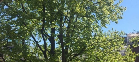 1 Schlafzimmer Wohnung in Hamburg-Nord, Germany, Nr. 281869 9