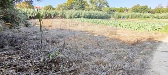  قطعة أرض في Colares, Portugal رقم 65646 6