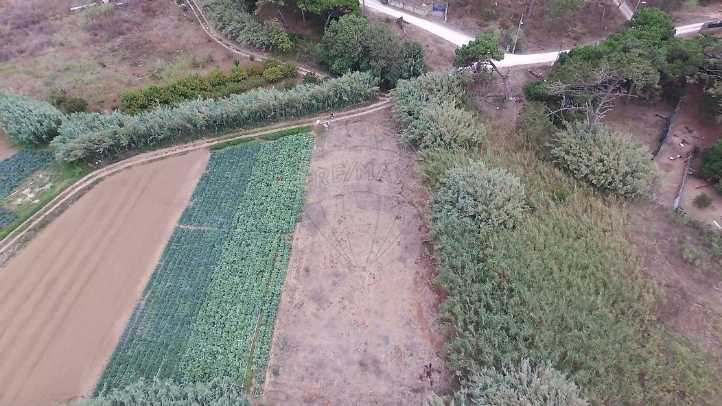  قطعة أرض في Colares, Portugal رقم 65646