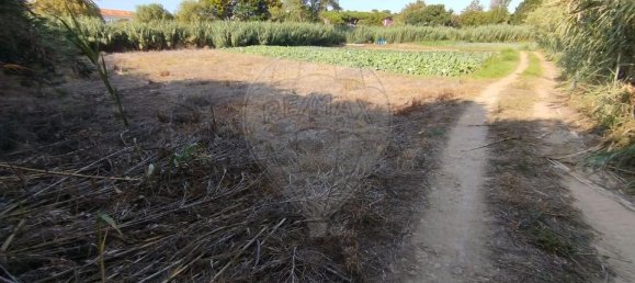  قطعة أرض في Colares, Portugal رقم 65646 2