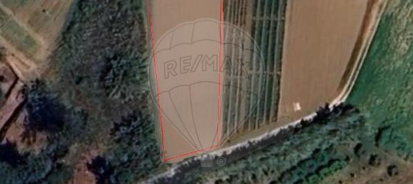  قطعة أرض في Colares, Portugal رقم 65646 5