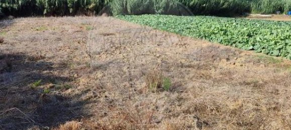  قطعة أرض في Colares, Portugal رقم 65646 4