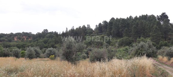 Terreno en Abrantes, Portugal No. 198566 3