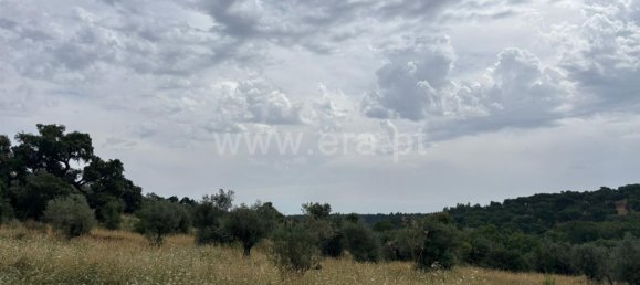 Terreno en Abrantes, Portugal No. 198566 4