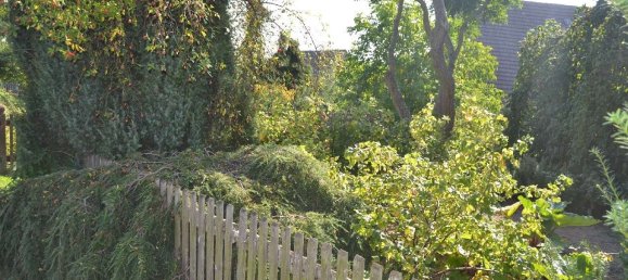 Granja de 9 habitaciónes en Mittelsachsen, Germany No. 165827 9